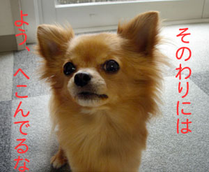 へこんでるな