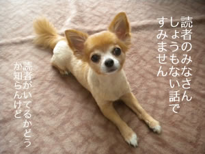 しょうもない話ですみません