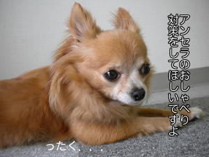 まったく