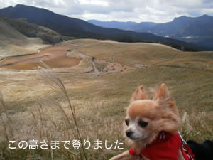 ここまで登りました
