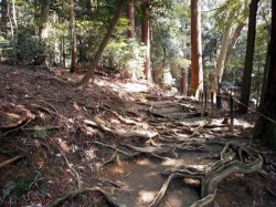 鞍馬山　奥の院までの道