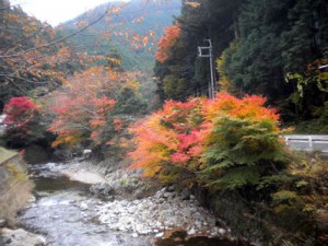 吉野の紅葉