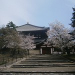 東大寺の裏側