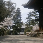 東大寺横