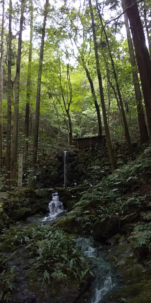 天岩戸神社の中