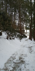 三峰神社参道